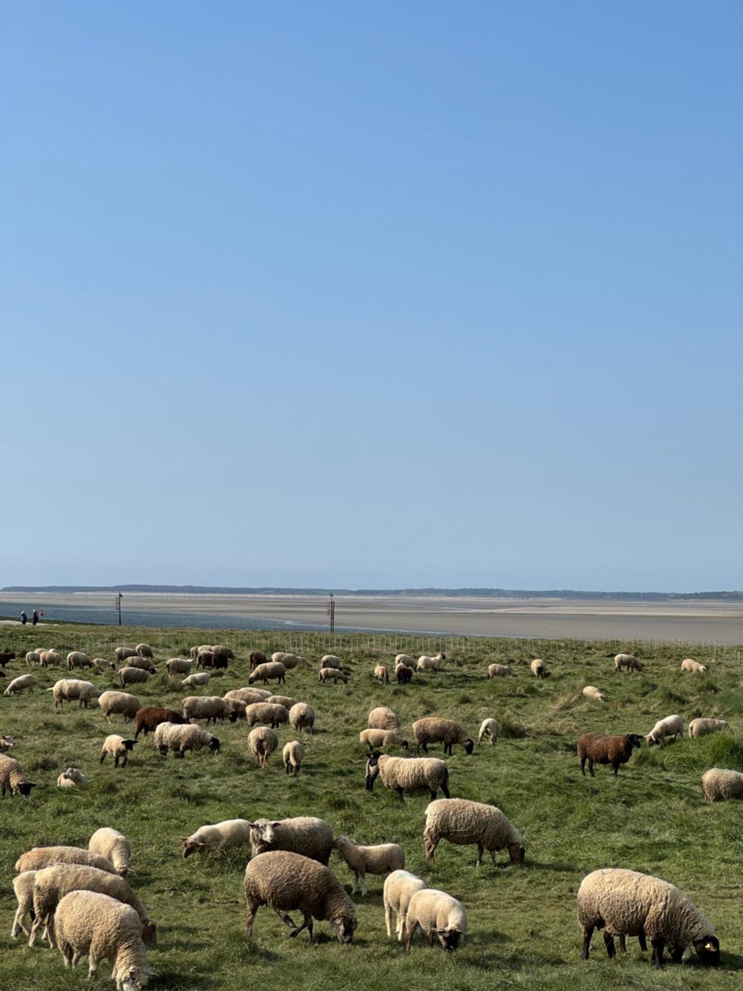 Gite Du Flot - Baie De Somme Boismont  Luaran gambar