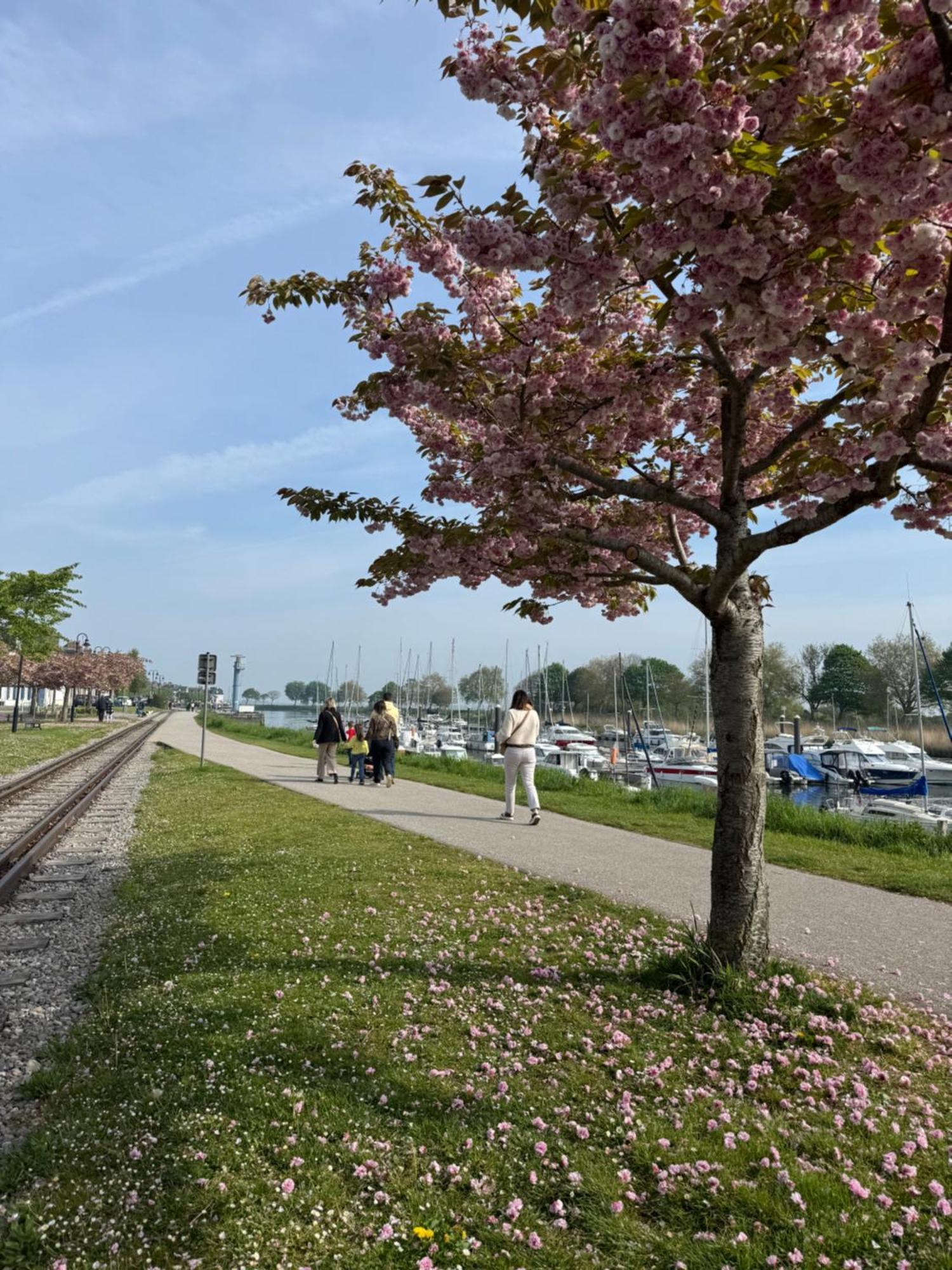 Gite Du Flot - Baie De Somme Boismont  Luaran gambar